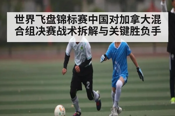 世界飞盘锦标赛中国对加拿大混合组决赛战术拆解与关键胜负手
